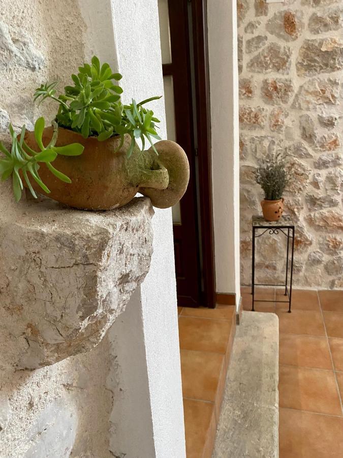 Villa Mediterranea Murter Exterior photo